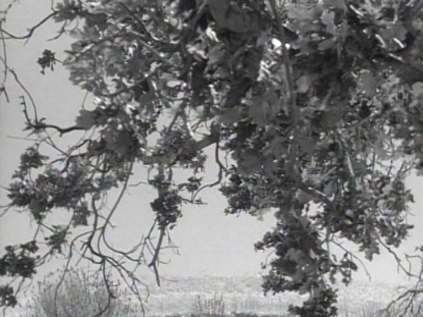 The Rifleman - Squeeze Play
