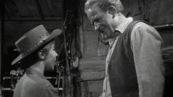 The Rifleman - The Hawk