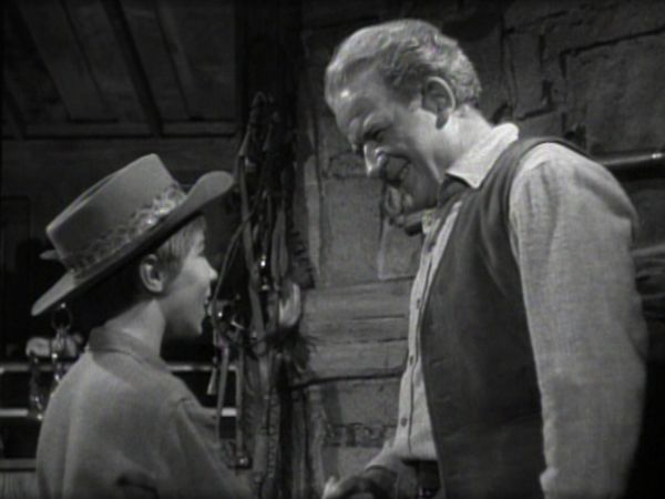 The Rifleman - The Hawk