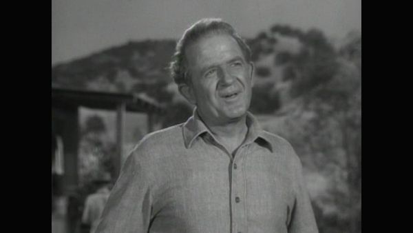 The Rifleman - The Hawk