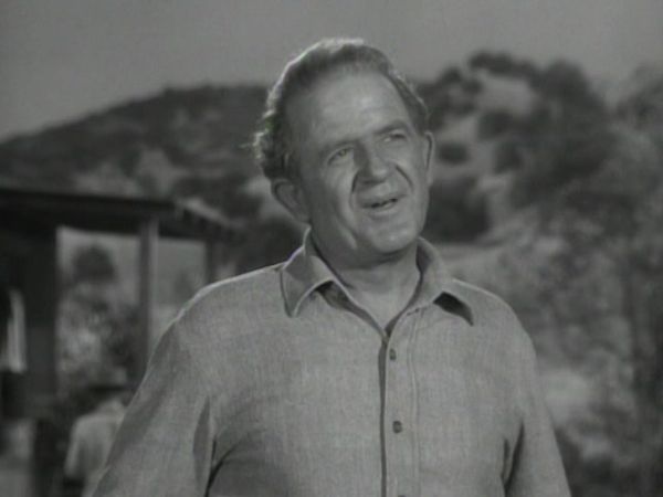 The Rifleman - The Hawk