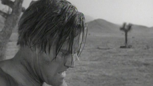 The Rifleman - The Vaqueros