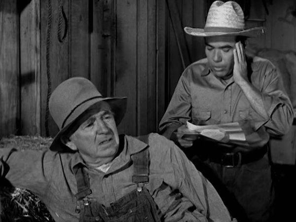 The Real McCoys - The Gigolo