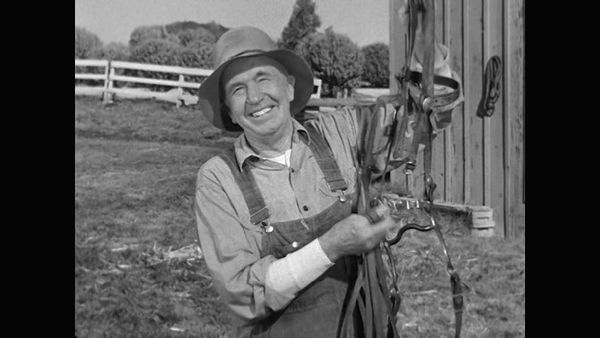 The Real McCoys - The Horse Expert