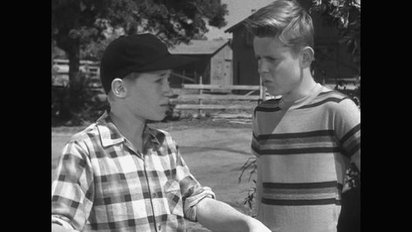 The Real McCoys - Baseball vs. Love