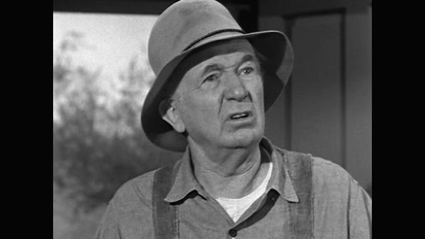 The Real McCoys - The Marriage Counselor