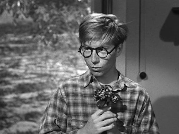The Real McCoys - The Homely Boy