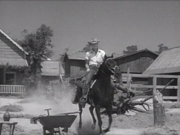 The Rifleman - The Journey Back