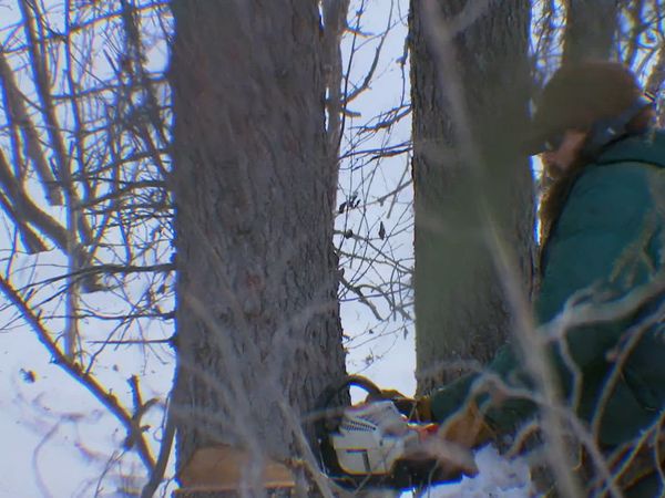 Mountain Men - The Cut