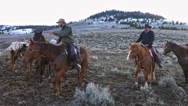 Mountain Men - No Guts, No Glory