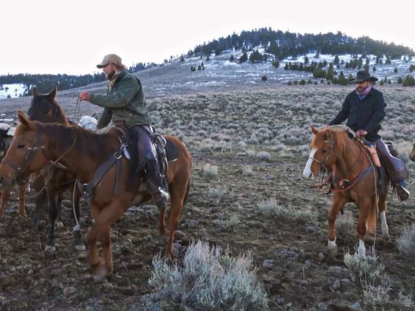 Mountain Men - No Guts, No Glory