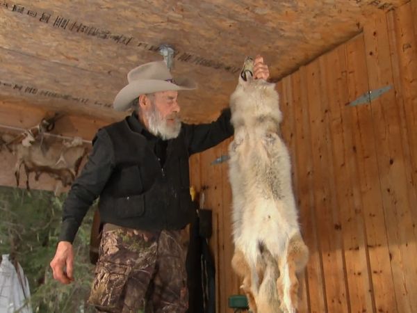 Mountain Men - Tooth and Claw