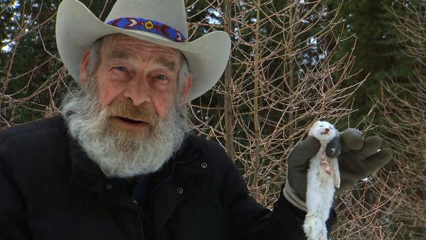 Mountain Men - The Bus Stop Bandit