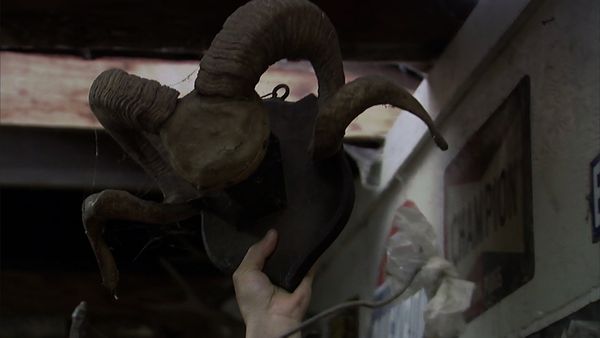 Cazadores de Tesoros - Despreocupado