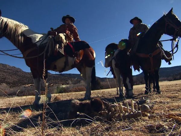 Mountain Men - Valley of the Wolves