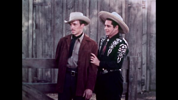 The Cisco Kid - Quarter Horse