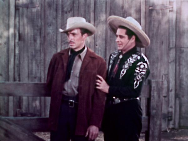 The Cisco Kid - Quarter Horse