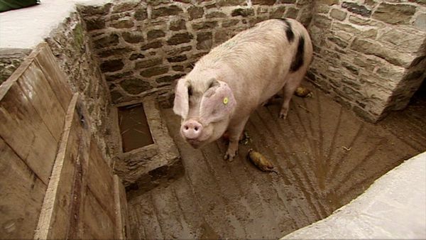 Victorian Farm - Episode 3