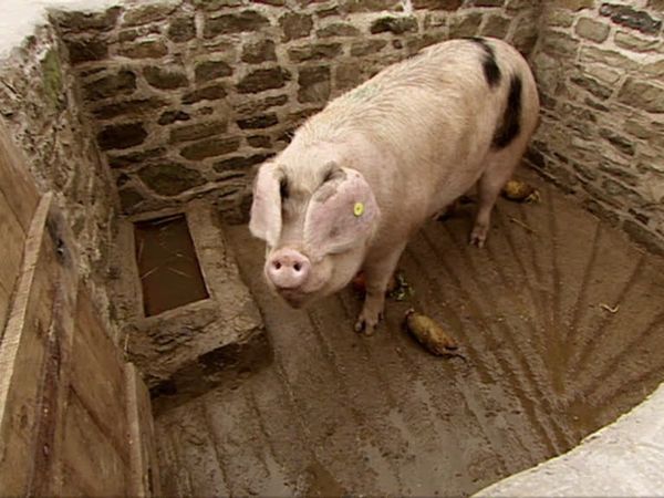 Victorian Farm - Episode 3