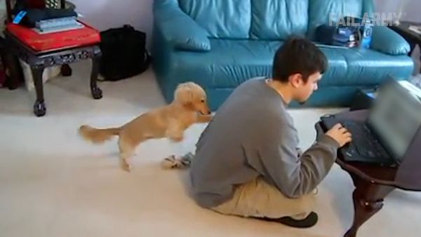 Internet Fails - ¿Qué onda perro?