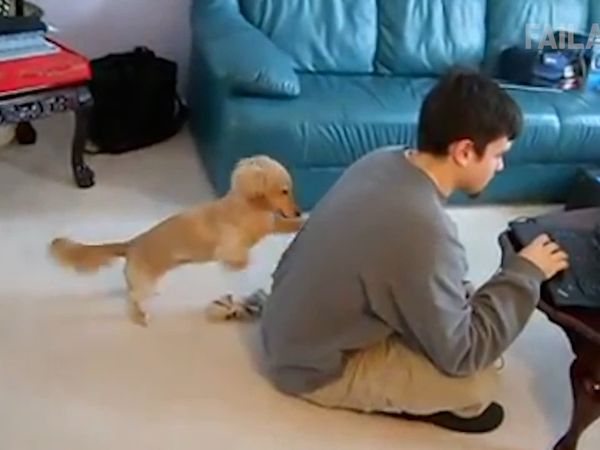 Internet Fails - ¿Qué onda perro?