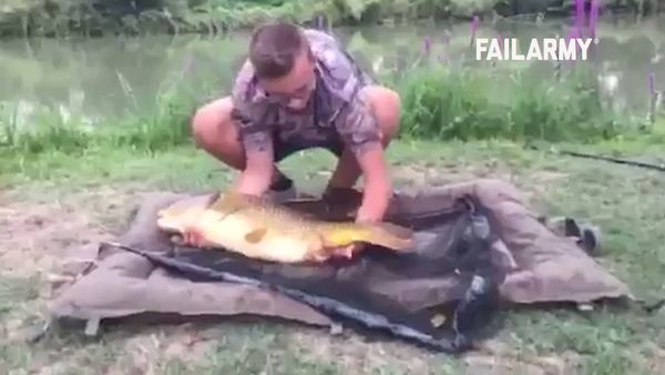 Internet Fails - Animales (fuera de) control