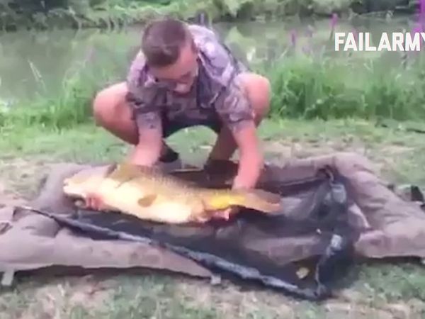 Internet Fails - Animales (fuera de) control