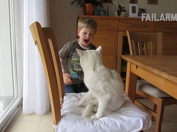 Internet Fails - Fauna silvestre