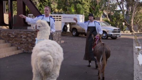 Hell's Kitchen (Censored) - 14 Chefs Compete