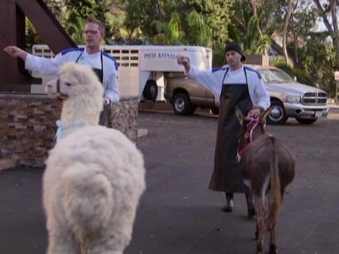 Hell's Kitchen (Censored) - 14 Chefs Compete