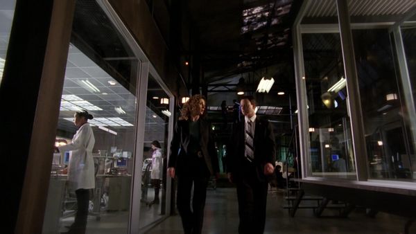 CSI: NY - The Fall