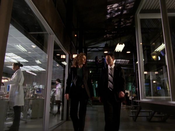 CSI: NY - The Fall