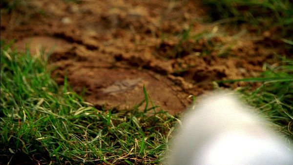 CSI: Miami - Born To Kill