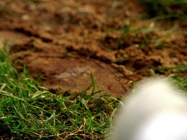 CSI: Miami - Born To Kill