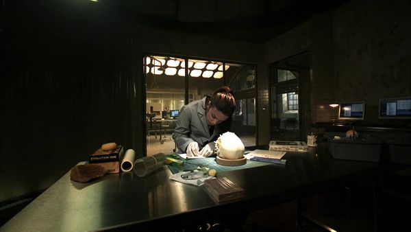 CSI: NY - American Dreamers