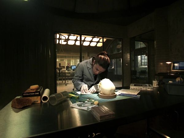 CSI: NY - American Dreamers