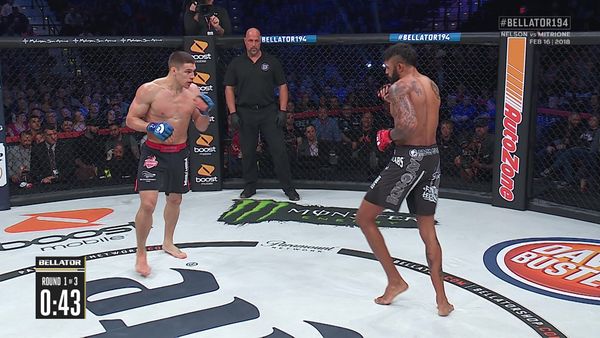 Bellator MMA - Bellator 194: Nelson vs Mitrione