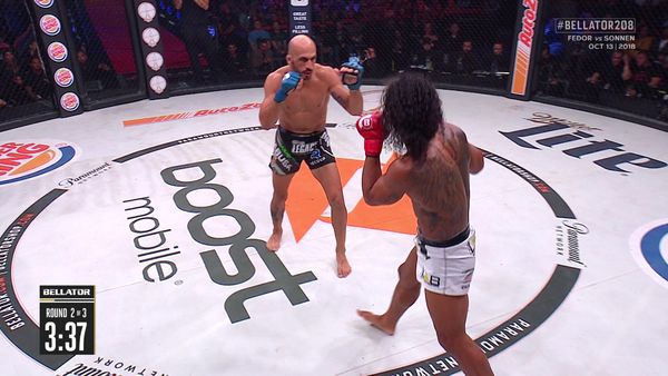 Bellator MMA - Bellator 208: Fedor vs Sonnen