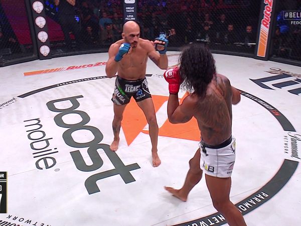 Bellator MMA - Bellator 208: Fedor vs Sonnen