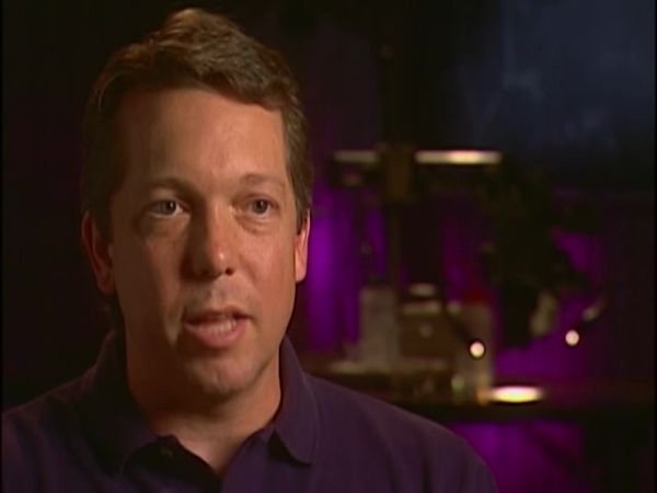 Crímenes imperfectos - El Jugador