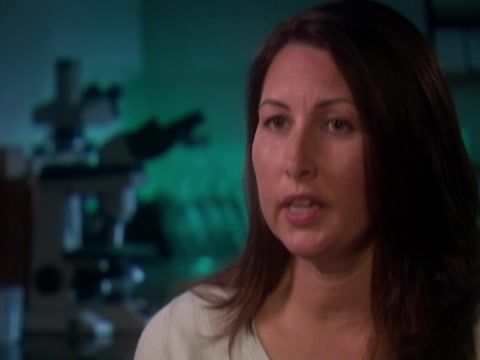 Archivos Forenses - Amor fugitivo