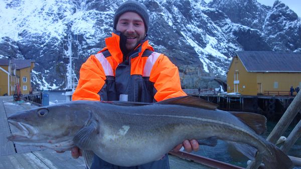 Hunting Fish - Norway