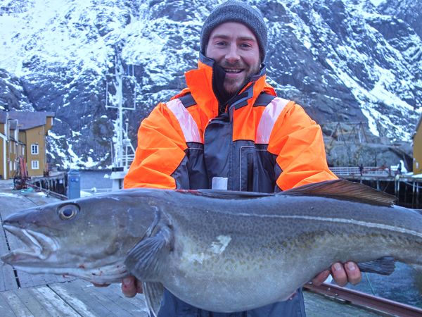 Hunting Fish - Norway