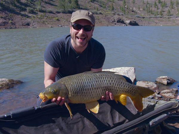 Hunting Fish - Gran Canaria - Part One