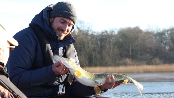Hunting Fish - The Broads