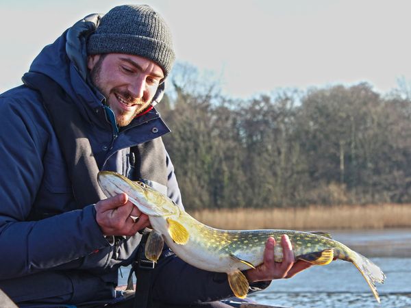 Hunting Fish - The Broads