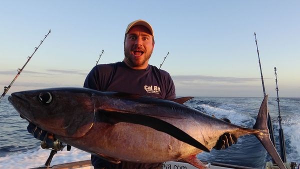 Hunting Fish - Gran Canaria - Part Two
