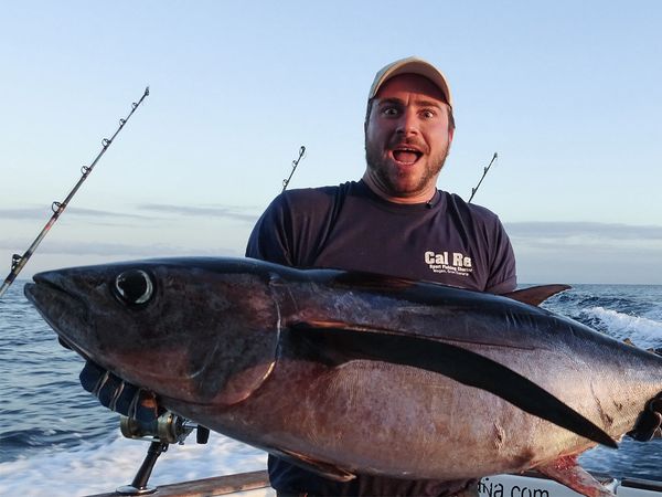 Hunting Fish - Gran Canaria - Part Two