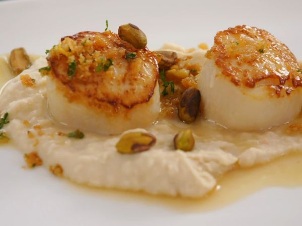 Fish the Dish - Cítrico