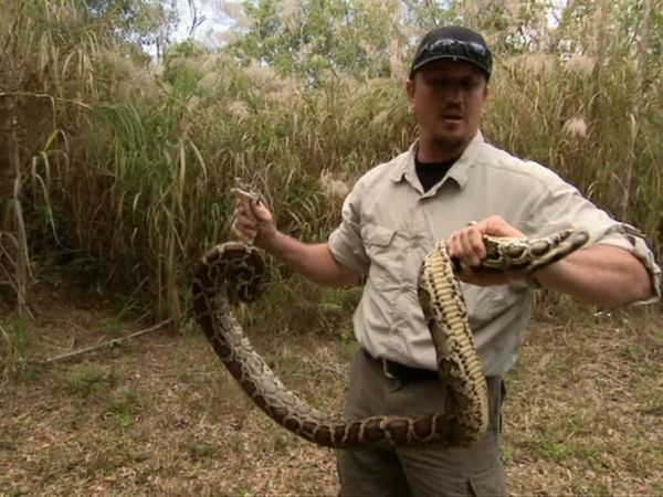 Python Hunters - Episodio 3